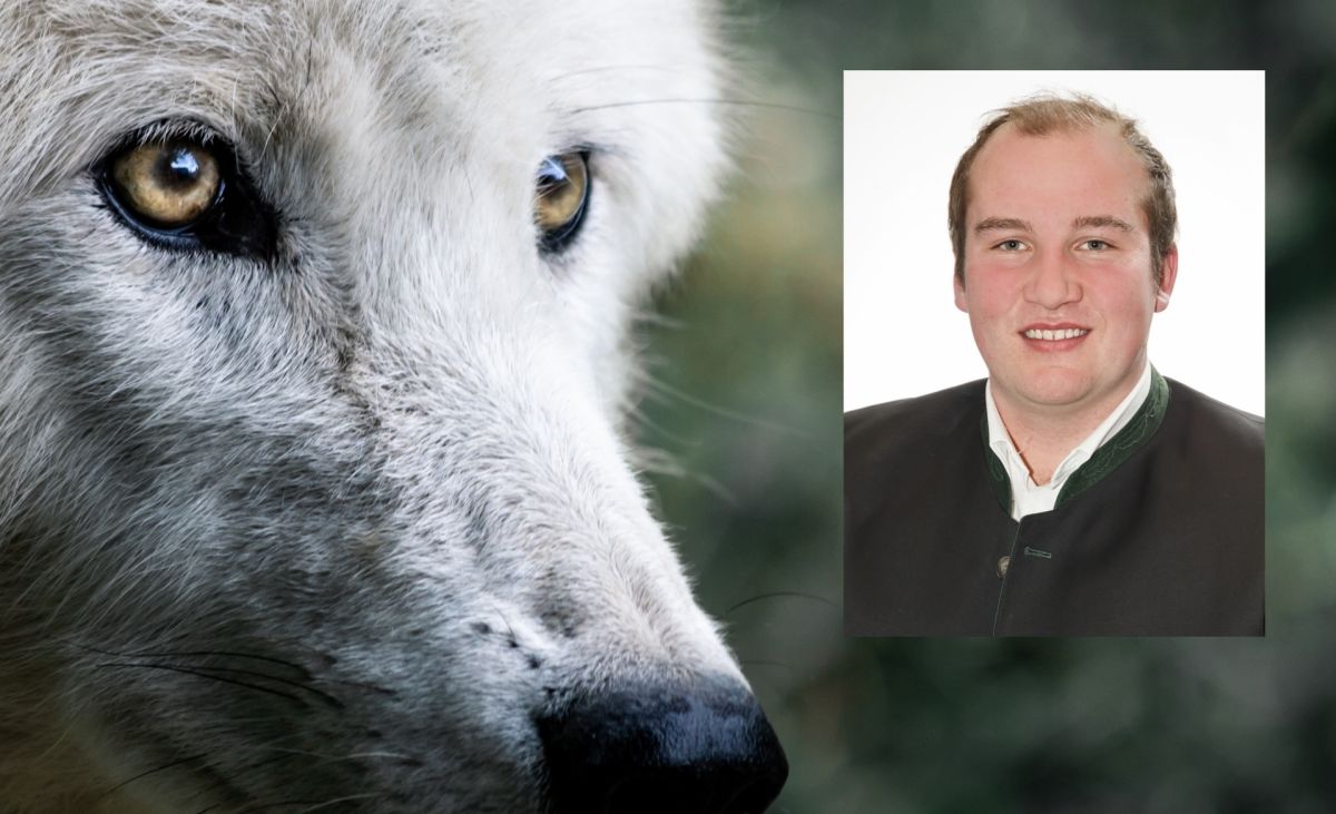 Wolfs-Verordnung sofort umsetzen
