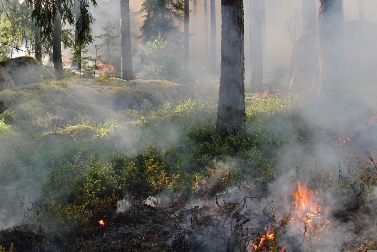 Waldbrand auf der Grafenbergalm
