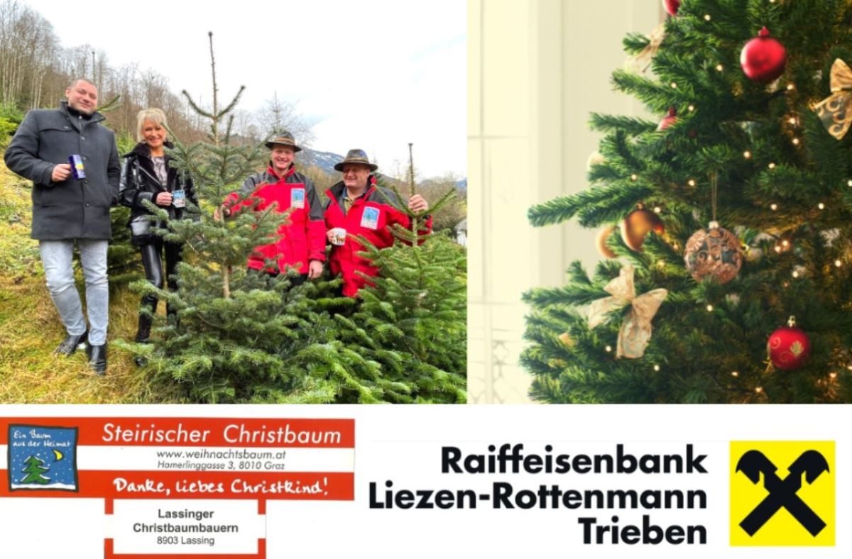Wenn der Christbaum zweimal wärmt