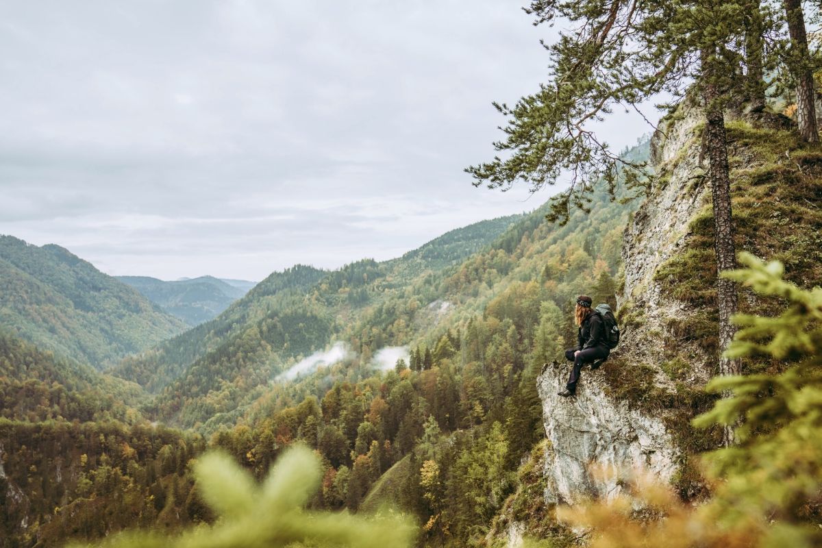 Gregor Seberg, der Luchs und sein Trail