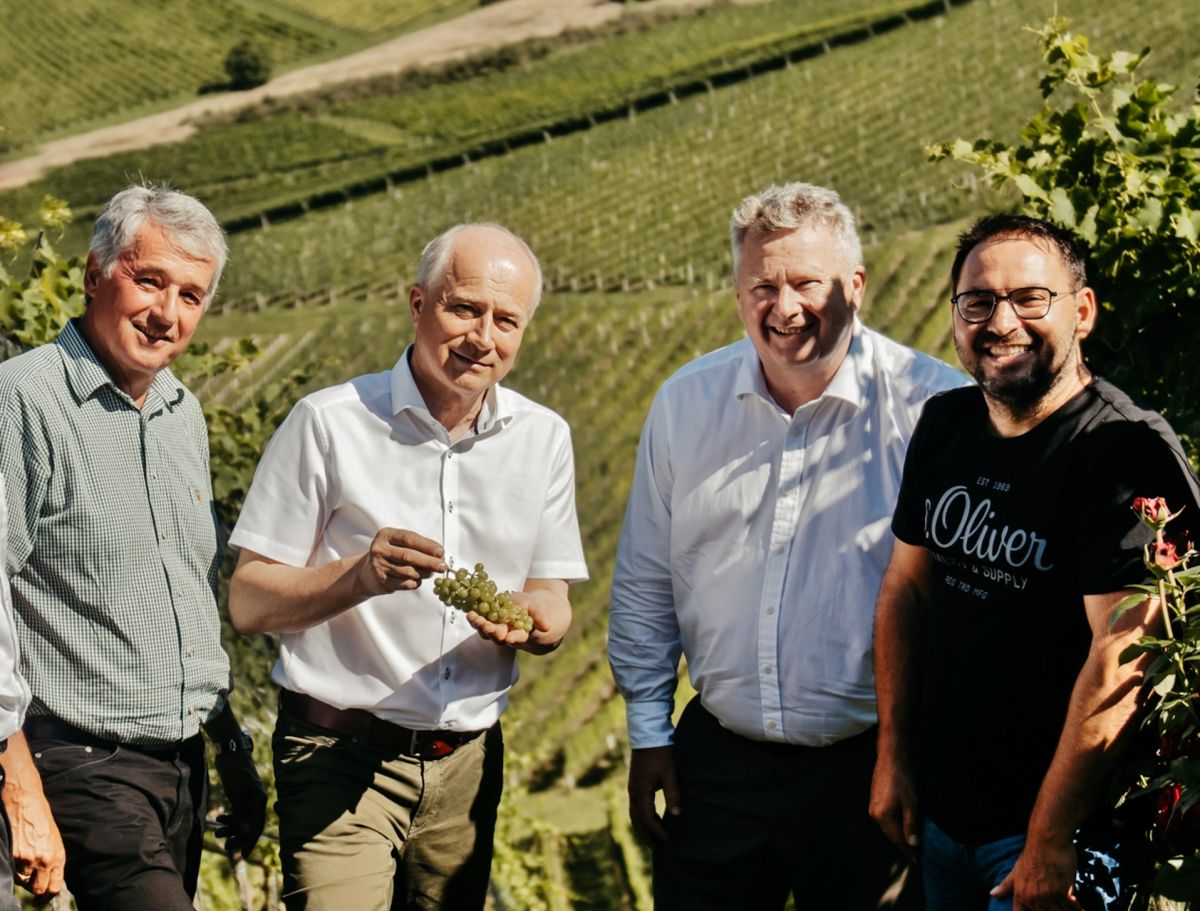 Historischer Schritt für steirischen Wein